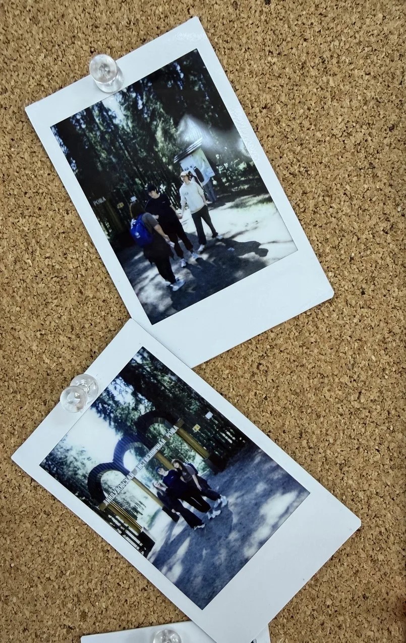 image_6_caption